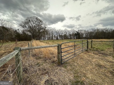 Lake Acreage For Sale in Bowdon, Georgia