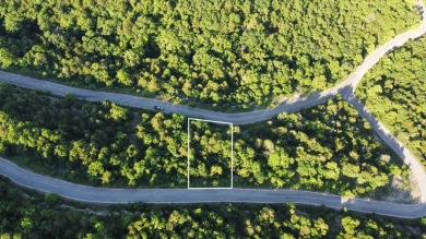 Lake Lot For Sale in Hollister, Missouri