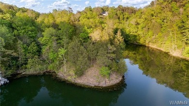 Serene, private, and designed to capture the beauty of Lake - photo 3