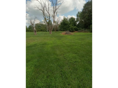 Price Reduced
Ranch home on two lots in Holiday Lakes - photo 3