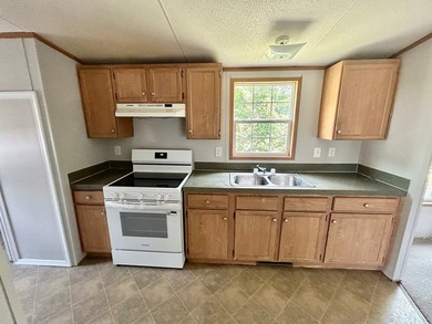 This 3-bedroom, 2-bathroom home is located on the outskirts of - photo 2