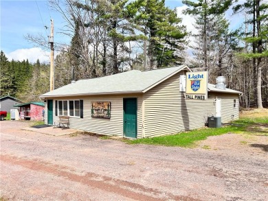 Nelson Lake Commercial For Sale in Hayward Wisconsin