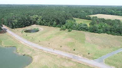 Come see this gorgeous wide open waterfront lot in the exclusive - photo 10