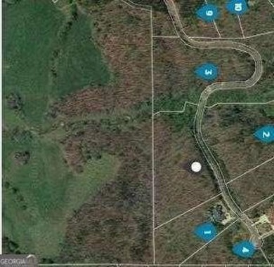 Lake Acreage For Sale in Ball Ground, Georgia