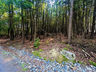 Located in a quiet lake community, this serene 1.02 acre parcel - photo 2
