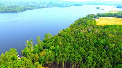 Located in a quiet lake community, this serene 1.02 acre parcel - photo 5