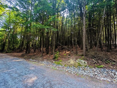 Located in a quiet lake community, this serene 1.02 acre parcel - photo 6
