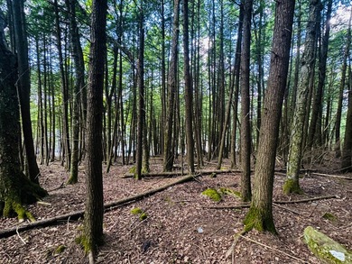 Located in a quiet lake community, this serene 1.02 acre parcel - photo 9