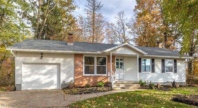 Chippewa Lake Home For Sale in Seville Ohio