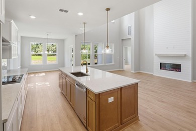 Discover our award-winning Sago floorplan in the heart of Goose - photo 13