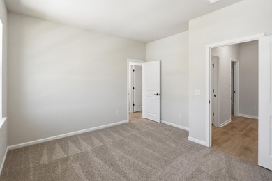 Discover our award-winning Sago floorplan in the heart of Goose - photo 30