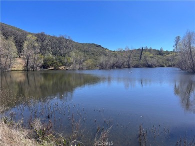 (private lake, pond, creek) Acreage For Sale in Lower Lake California