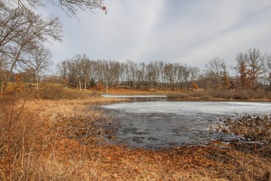 Outstanding 4 Bed, 3 1/2 Bath Walk-out Ranch on 4.18 acres with - photo 35