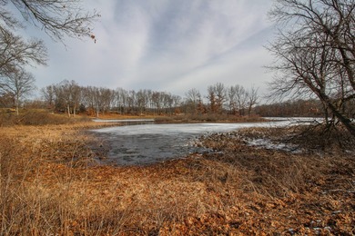 Outstanding 4 Bed, 3 1/2 Bath Walk-out Ranch on 4.18 acres with - photo 36