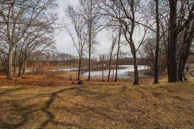 Outstanding 4 Bed, 3 1/2 Bath Walk-out Ranch on 4.18 acres with - photo 38