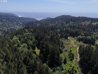 Over 6 Acres of Private, Tranquil and Useable Property. This - photo 2