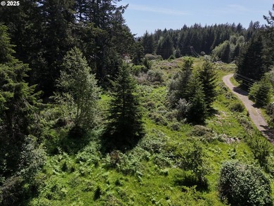 Over 6 Acres of Private, Tranquil and Useable Property. This - photo 5