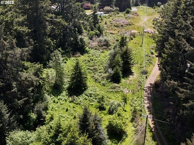Over 6 Acres of Private, Tranquil and Useable Property. This - photo 6