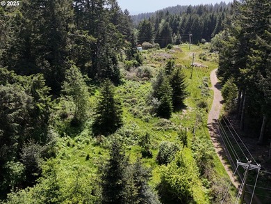 Over 6 Acres of Private, Tranquil and Useable Property. This - photo 7