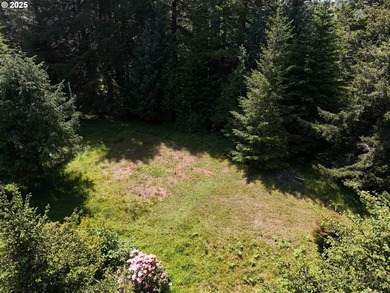 Over 6 Acres of Private, Tranquil and Useable Property. This - photo 8