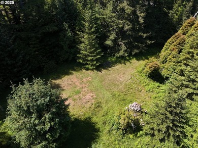 Over 6 Acres of Private, Tranquil and Useable Property. This - photo 10