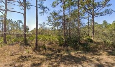 Lake June in Winter Acreage For Sale in Other City - In The State Of Florida Florida