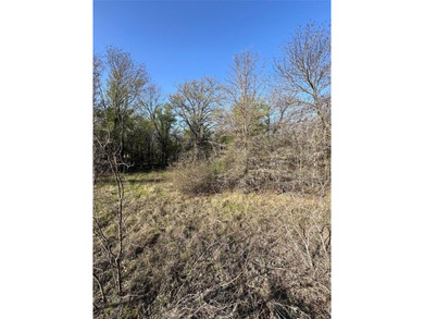 Vacant Lot to build your dream home or vacation home! Bring your - photo 11