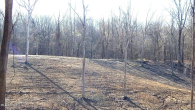 DeSoto County. This 83.562 surveyed acres is the perfect - photo 14