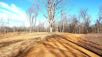 DeSoto County. This 83.562 surveyed acres is the perfect - photo 18