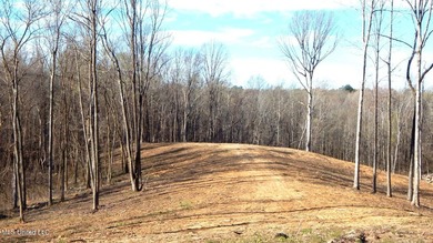 DeSoto County. This 83.562 surveyed acres is the perfect - photo 20