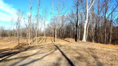 DeSoto County. This 83.562 surveyed acres is the perfect - photo 21