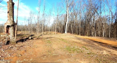 DeSoto County. This 83.562 surveyed acres is the perfect - photo 22