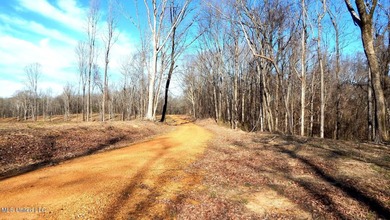 DeSoto County. This 83.562 surveyed acres is the perfect - photo 23