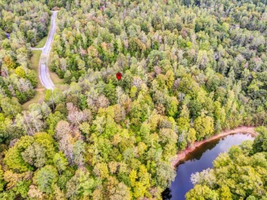 Norris Lake Lot with 112 Ft of Shoreline & Dock Rights - photo 6