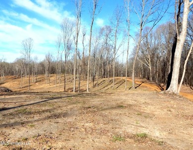 DeSoto County. This 83.562 surveyed acres is the perfect - photo 24