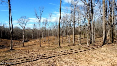DeSoto County. This 83.562 surveyed acres is the perfect - photo 27