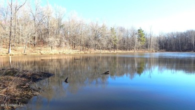 DeSoto County. This 83.562 surveyed acres is the perfect - photo 29