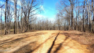 DeSoto County. This 83.562 surveyed acres is the perfect - photo 30