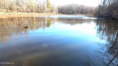 DeSoto County. This 83.562 surveyed acres is the perfect - photo 33