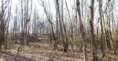 DeSoto County. This 83.562 surveyed acres is the perfect - photo 34