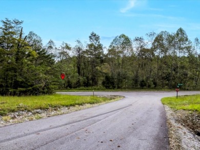 Norris Lake Lot with 112 Ft of Shoreline & Dock Rights - photo 21