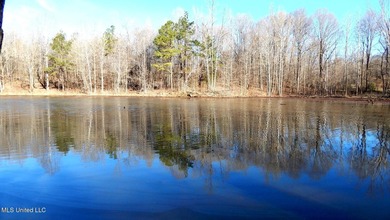 DeSoto County. This 83.562 surveyed acres is the perfect - photo 35
