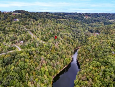 Norris Lake Lot with 112 Ft of Shoreline & Dock Rights - photo 12
