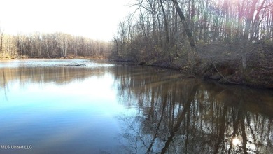 DeSoto County. This 83.562 surveyed acres is the perfect - photo 38