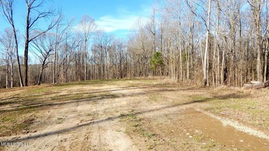 DeSoto County. This 83.562 surveyed acres is the perfect - photo 39