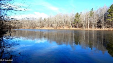 DeSoto County. This 83.562 surveyed acres is the perfect - photo 41