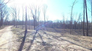 DeSoto County. This 83.562 surveyed acres is the perfect - photo 42