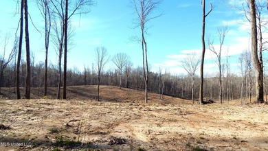 DeSoto County. This 83.562 surveyed acres is the perfect - photo 43