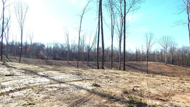 DeSoto County. This 83.562 surveyed acres is the perfect - photo 44