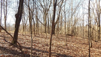 DeSoto County. This 83.562 surveyed acres is the perfect - photo 46
